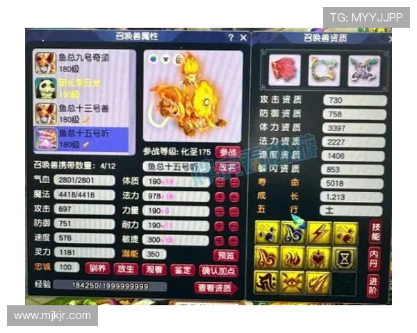 了解14秒重置规则：进攻回合何时重新计时最准确？